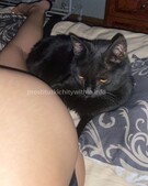 Анкета проститутки Рената - метро Раменки, возраст - 23